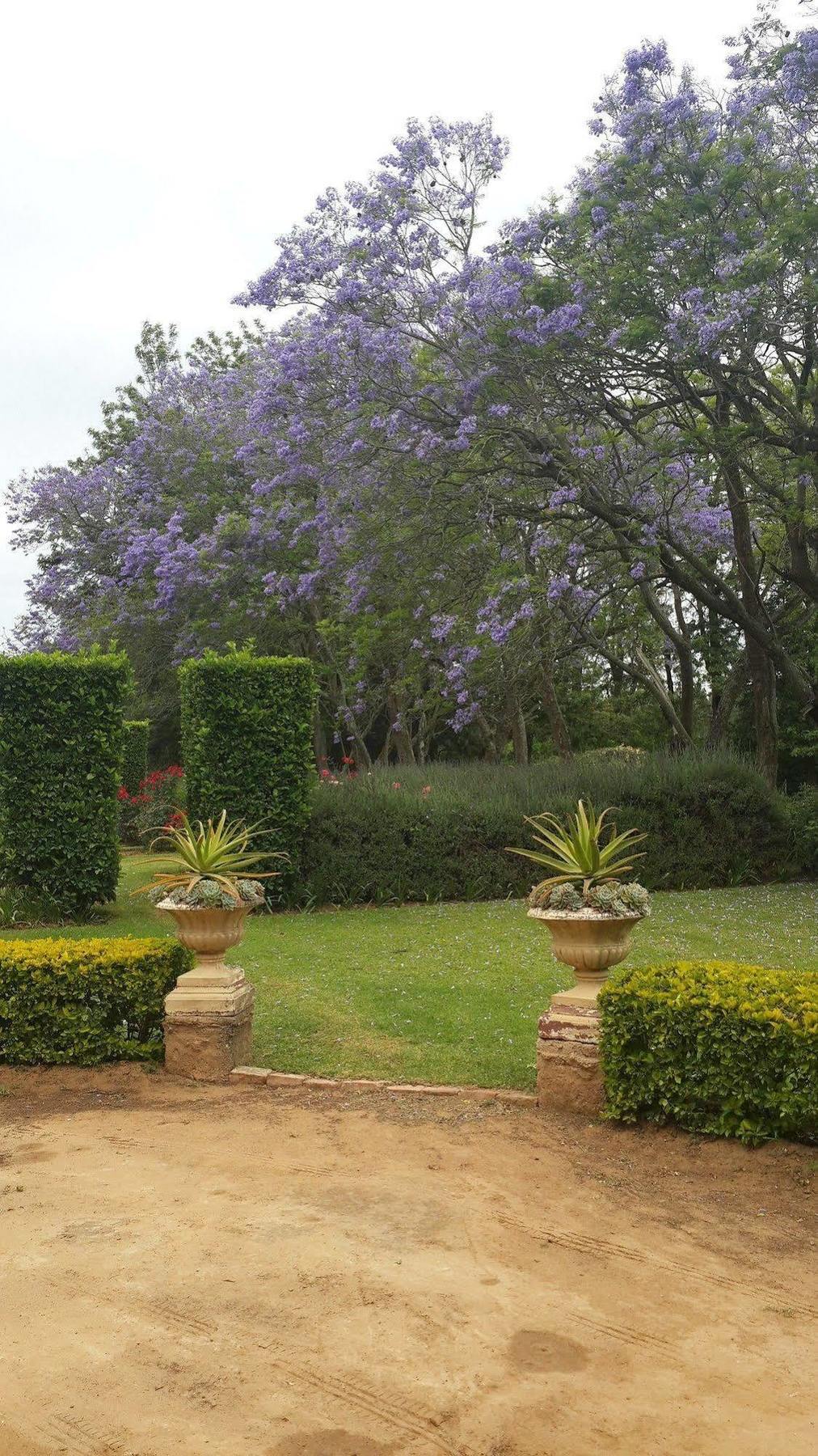 Hopefield Country House Addo Eksteriør bilde