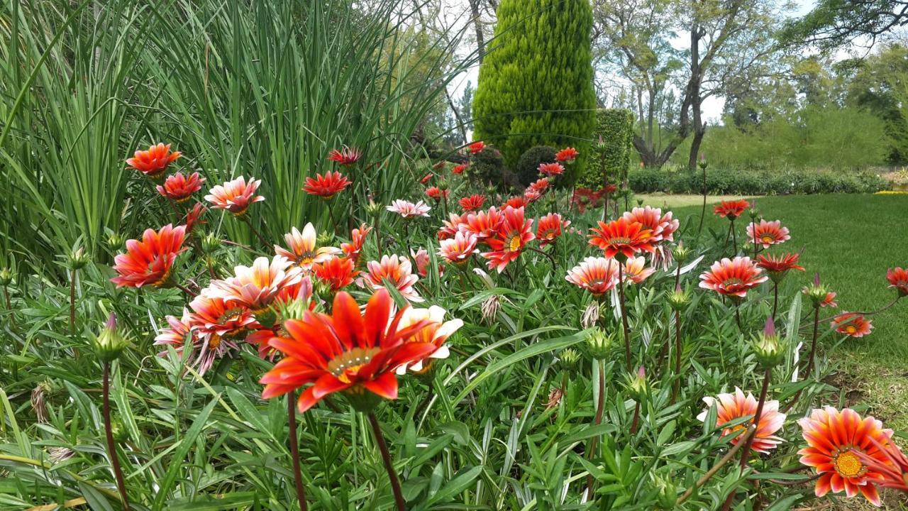 Hopefield Country House Addo Eksteriør bilde